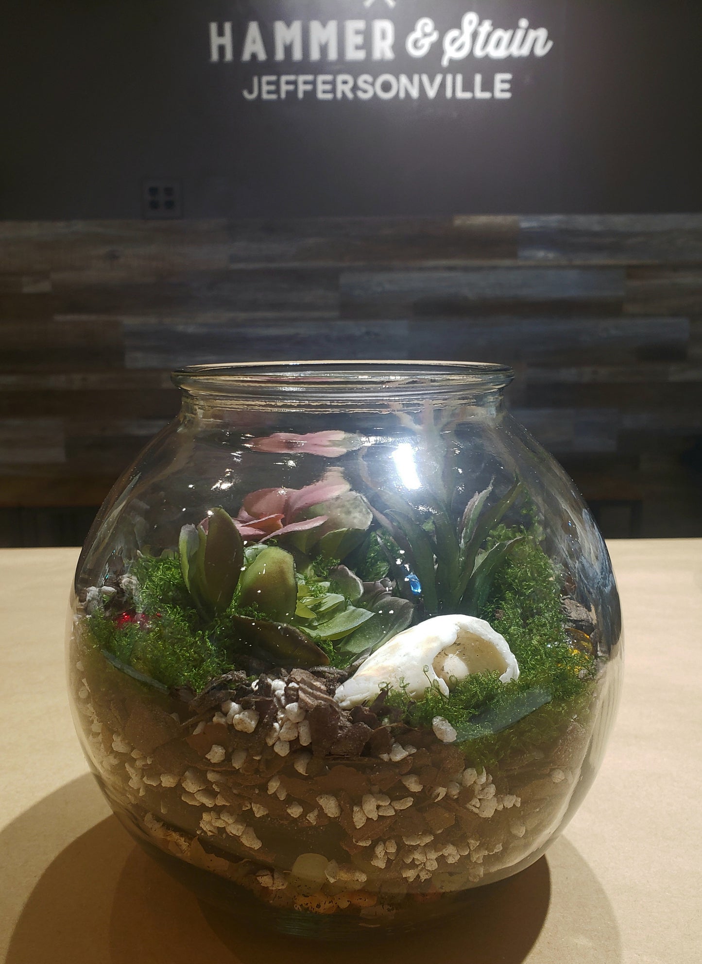 03/01/2026 - Sunday @ 1:00 p.m. Terrariums REGISTRATION CLOSED