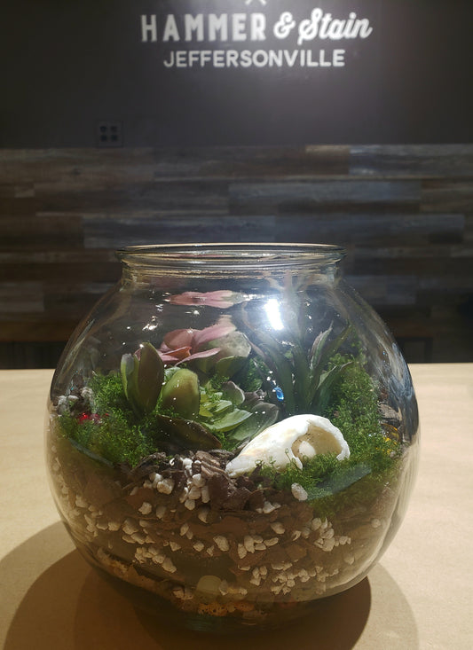 03/01/2026 - Sunday @ 1:00 p.m.  Terrariums REGISTRATION CLOSED